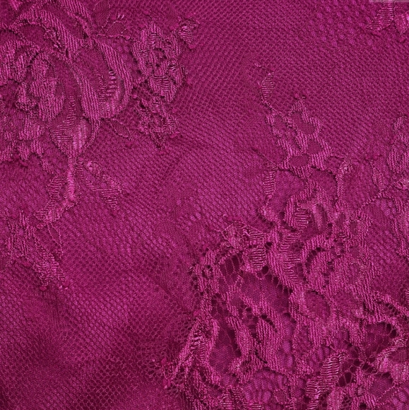 Truly Stunning Dark Magenta Lace Skater Dress - Picture 2 of 2